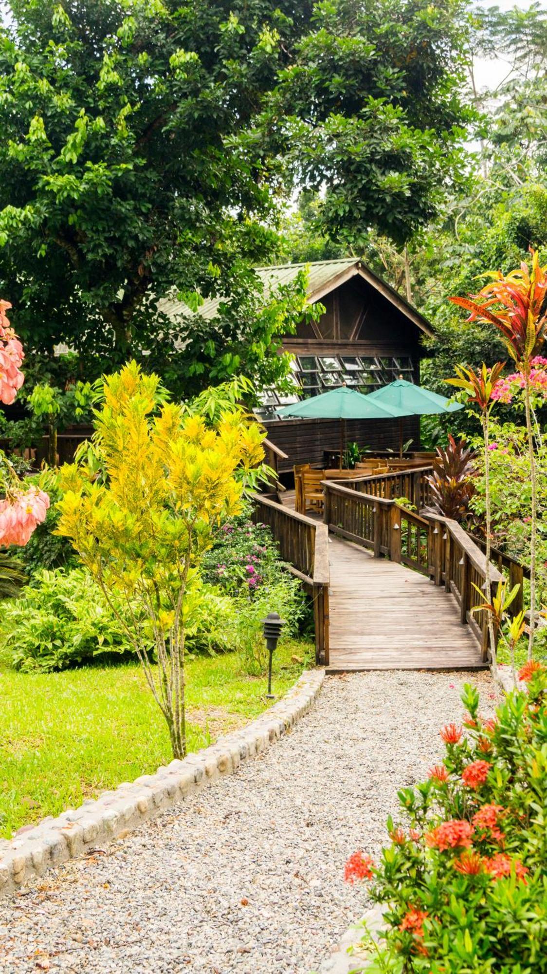The Lodge & Spa At Pico Bonito El Pino Buitenkant foto